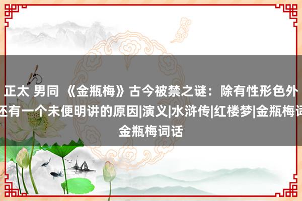 正太 男同 《金瓶梅》古今被禁之谜：除有性形色外，还有一个未便明讲的原因|演义|水浒传|红楼梦|金瓶梅词话