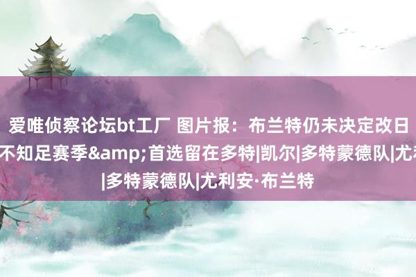 爱唯侦察论坛bt工厂 图片报：布兰特仍未决定改日，当先救助不知足赛季&首选留在多特|凯尔|多特蒙德队|尤利安·布兰特