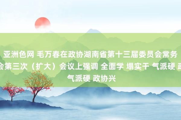 亚洲色网 毛万春在政协湖南省第十三届委员会常务委员会第三次（扩大）会议上强调 全面学 塌实干 气派硬 政协兴