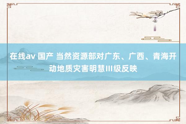 在线av 国产 当然资源部对广东、广西、青海开动地质灾害明慧Ⅲ级反映
