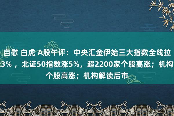 自慰 白虎 A股午评：中央汇金伊始三大指数全线拉升创指涨3% ，北证50指数涨5%，超2200家个股高涨；机构解读后市
