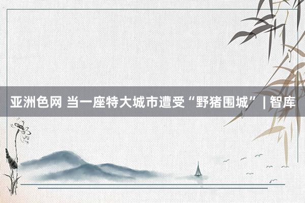 亚洲色网 当一座特大城市遭受“野猪围城” | 智库