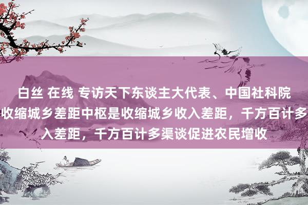 白丝 在线 专访天下东谈主大代表、中国社科院学部委员魏后凯：收缩城乡差距中枢是收缩城乡收入差距，千方百计多渠谈促进农民增收