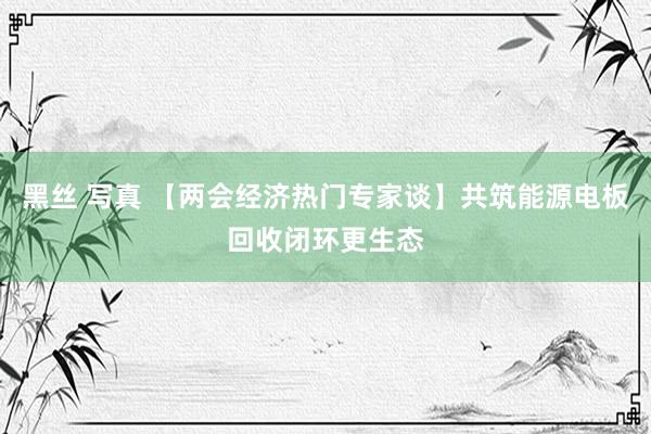 黑丝 写真 【两会经济热门专家谈】共筑能源电板回收闭环更生态